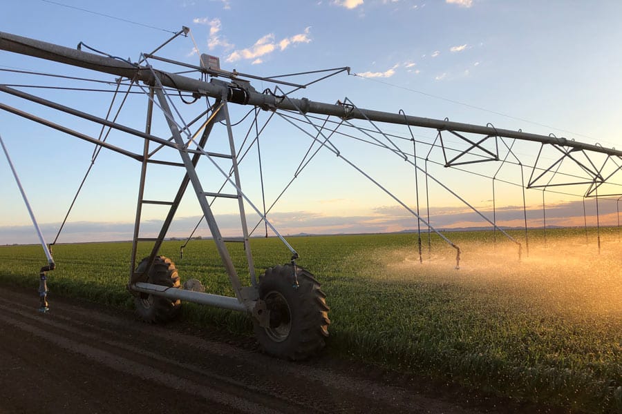 Grains Industry Research Development and Extension
