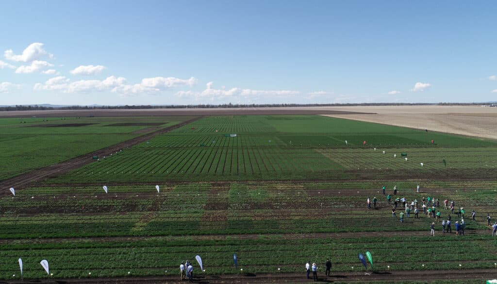 Partner with Tosari Crop Research Centre - Tosari Crop Research Centre