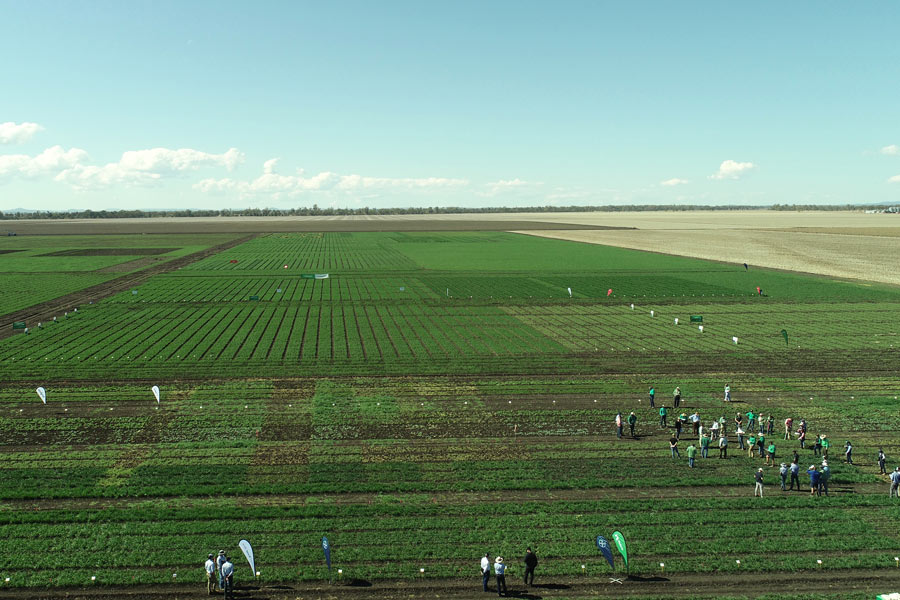 Tosari Crop Research Centre