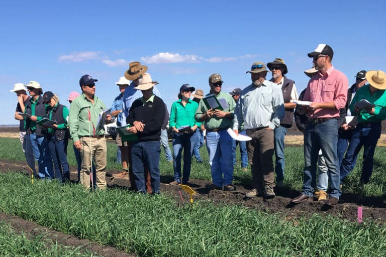 Tosari Crop Research Centre - Partner with Tosari Crop Research Centre
