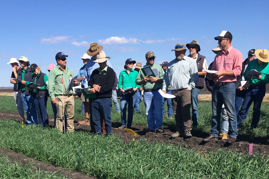 Tosari Crop Research Centre - Partner with Tosari Crop Research Centre